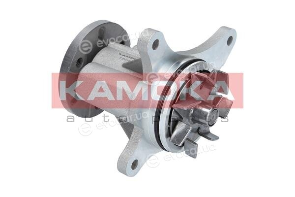 Kamoka T0093