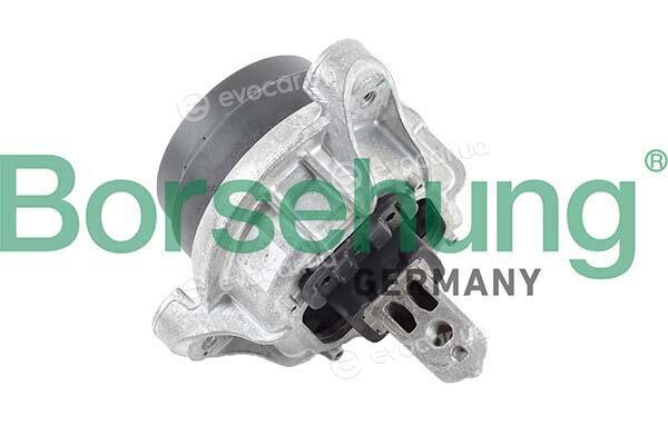 Borsehung B12605