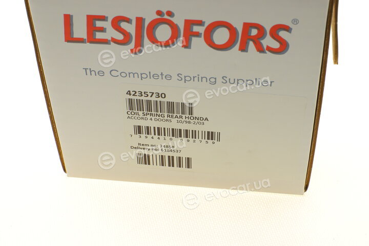 Lesjofors 4235730