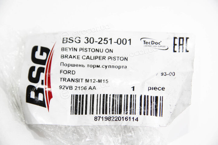 BSG BSG 30-251-001