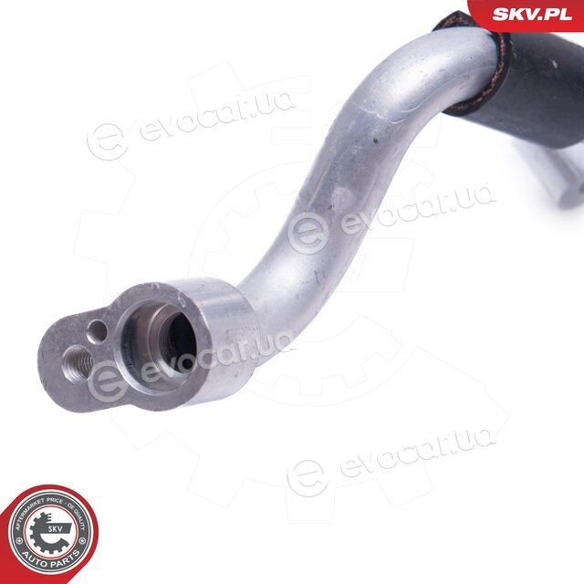 SKV 43SKV581