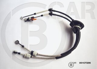 BCAR 001CT296