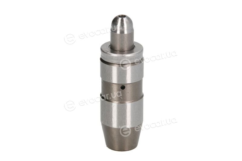 DNJ LIF411