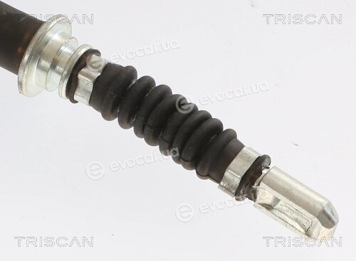 Triscan 8140 181147