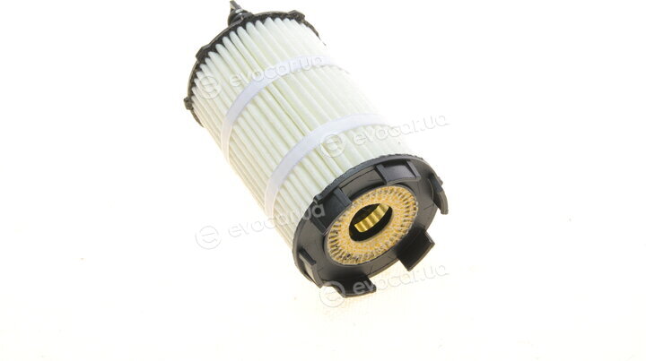 Borsehung B10517