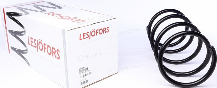 Lesjofors 4044226