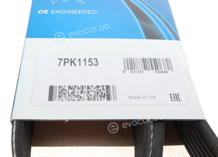 Dayco 7PK1153