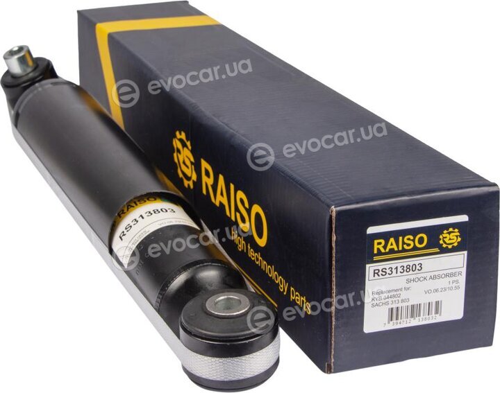 Raiso RS313803