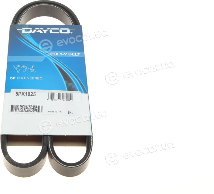 Dayco 5PK1025