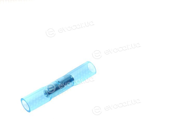 Solgy 412006