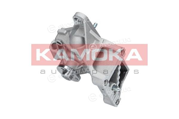 Kamoka T0239