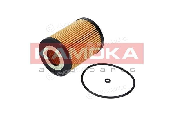 Kamoka F111301