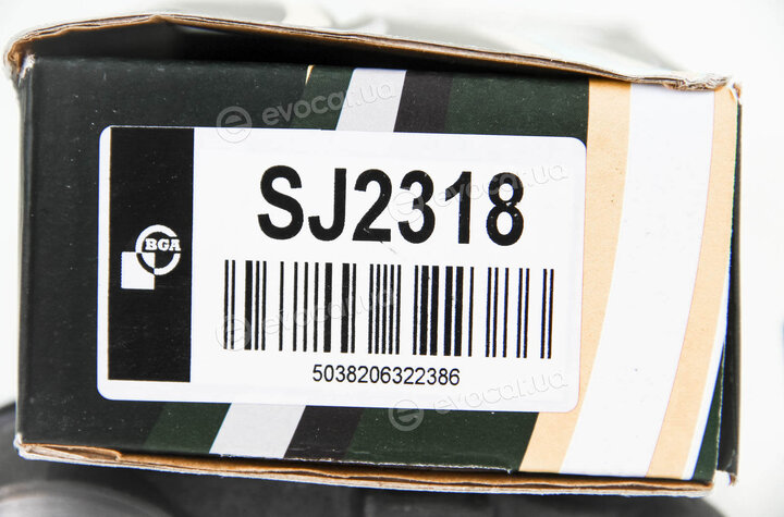 BGA SJ2318