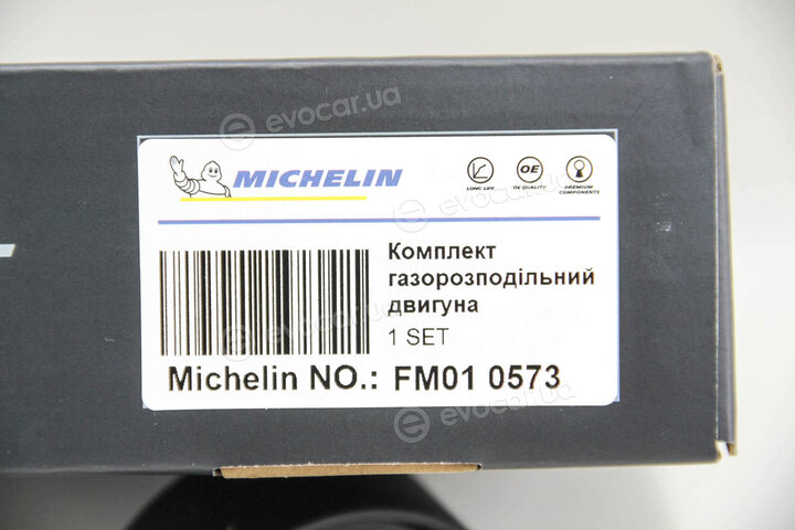 Michelin FM010573