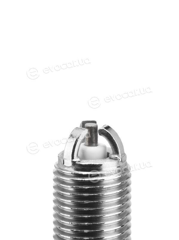 BorgWarner Z246