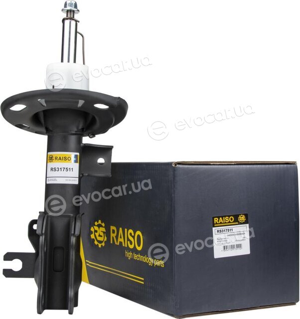 Raiso RS317511