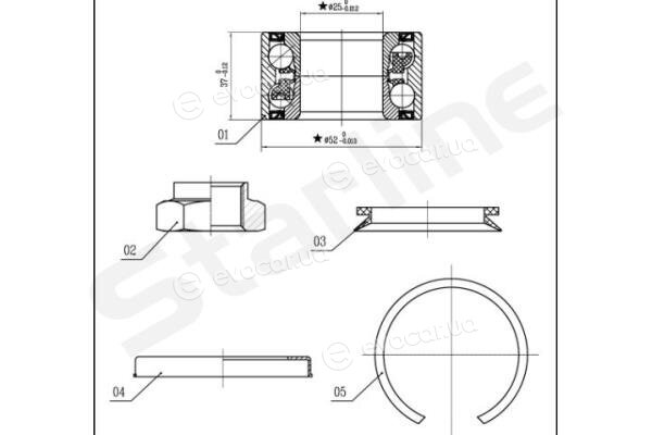 Starline LO 03556