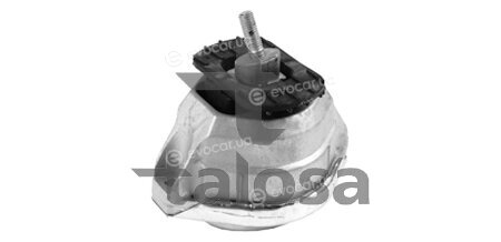 Talosa 61-09441