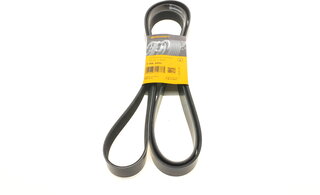 Continental 7PK2842