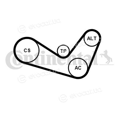 Continental 6PK1050K1