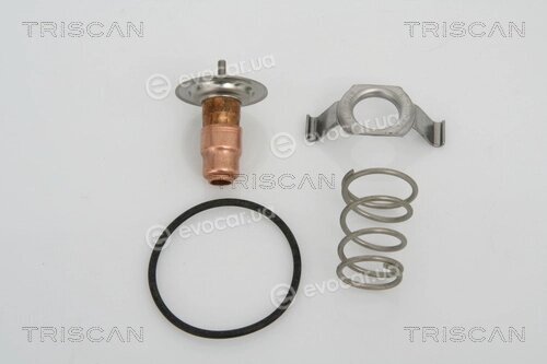 Triscan 8620 13487