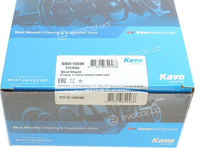 Kavo SSM-10038