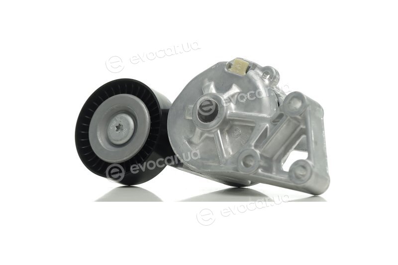 SKF VKM 31019