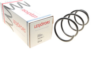 Lesjofors 4092588