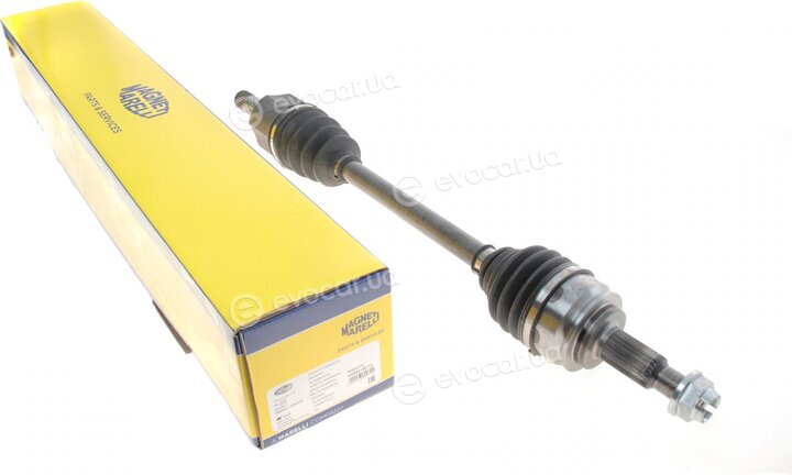 Magneti Marelli 302004190114