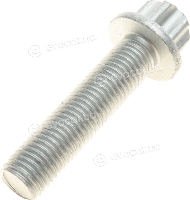 Solgy 216156