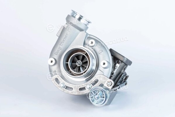 BorgWarner 12709880018