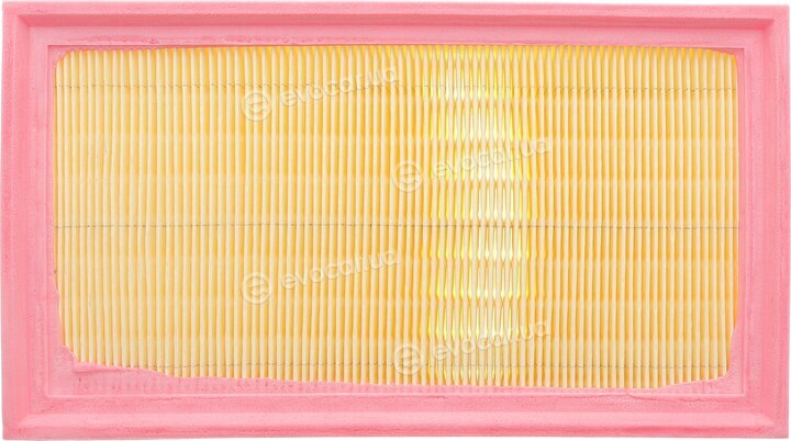 Solgy 103147