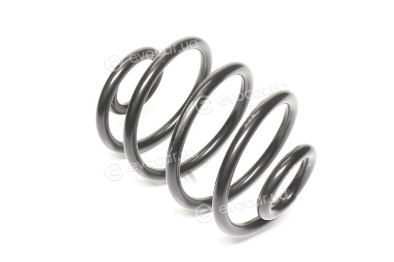Lesjofors 4263404