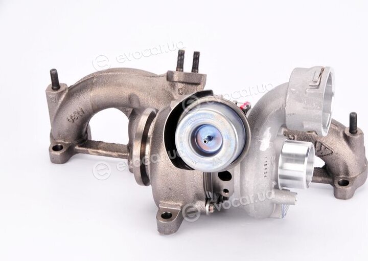 BorgWarner 54399880022