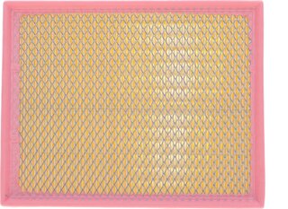 Solgy 103059