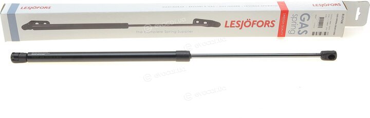 Lesjofors 8127558
