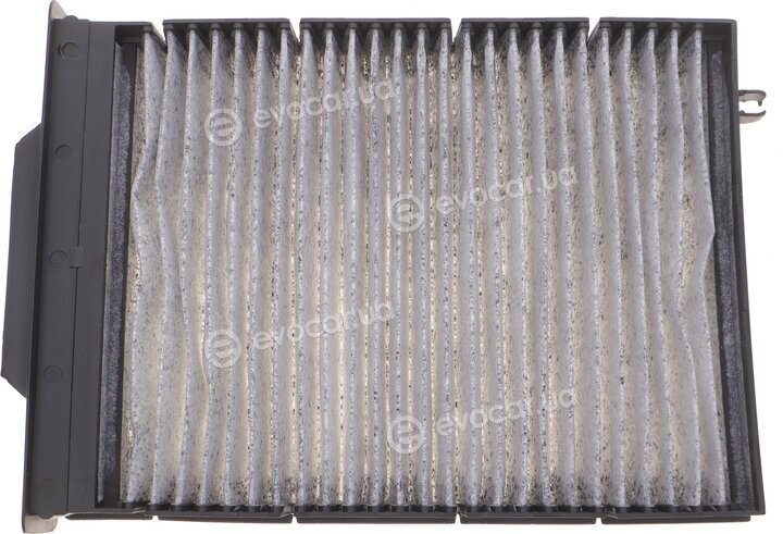 Solgy 104031