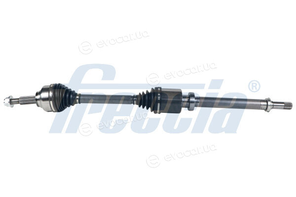 Freccia DS16-1172