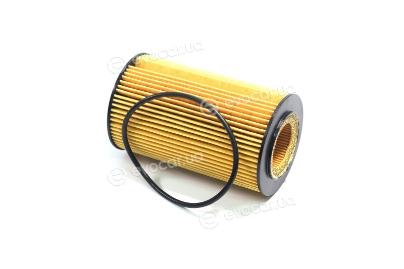Mahle OX 161D
