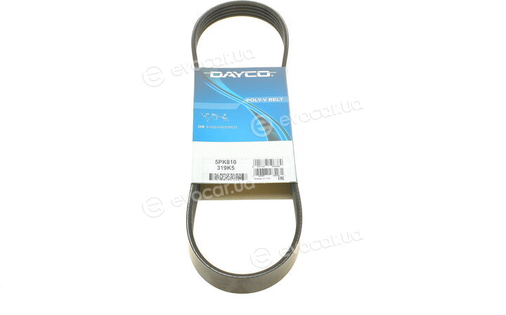 Dayco 5PK810