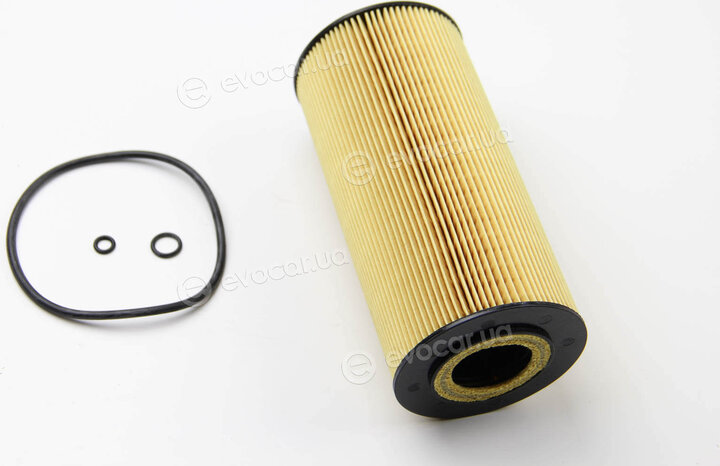 Mahle OX 123/1D