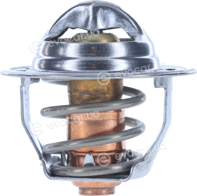 Motorad 565-74K