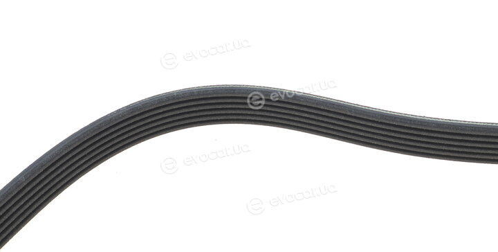Dayco 6PK1073K