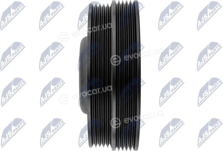 NTY RKP-MS-020