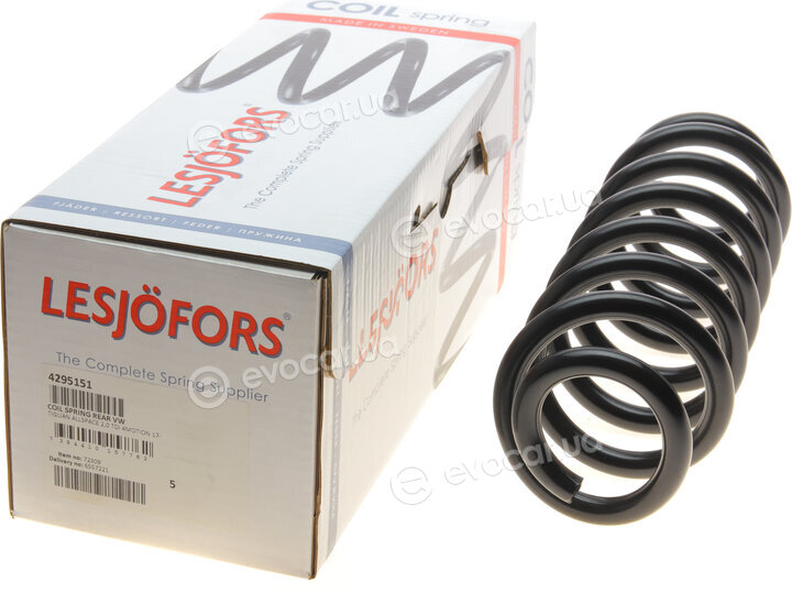 Lesjofors 4295151