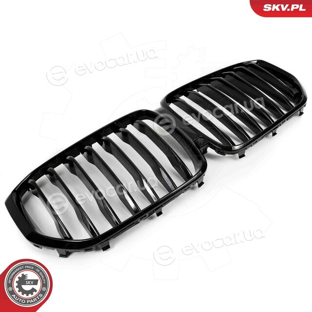 SKV 66SKV300