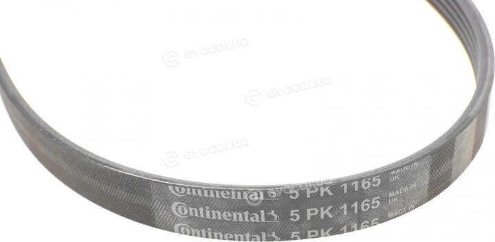 Continental 5PK1165