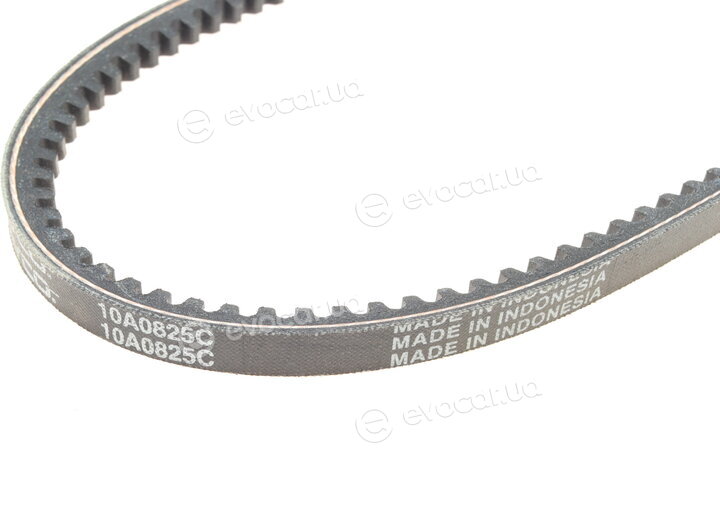 Dayco 10A0825C