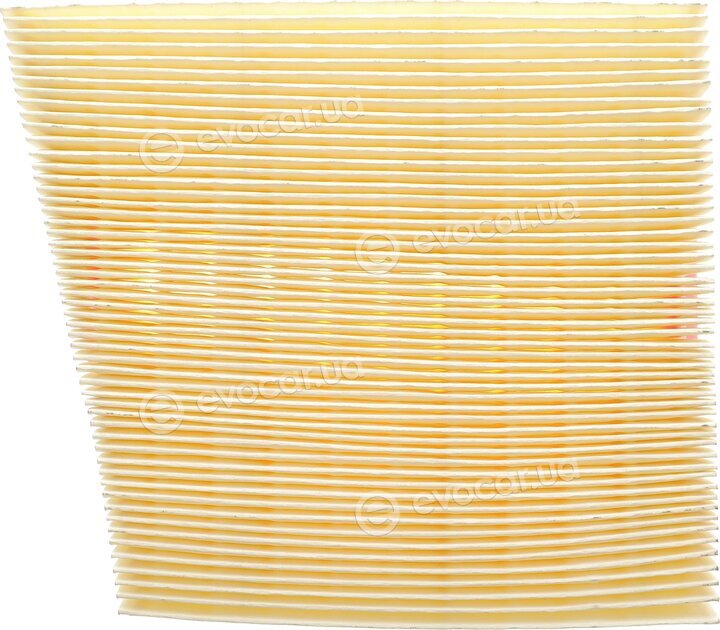 Solgy 103143