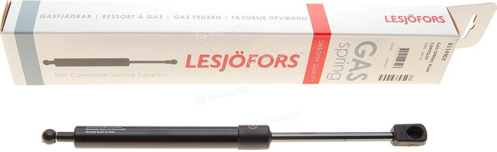 Lesjofors 8114902